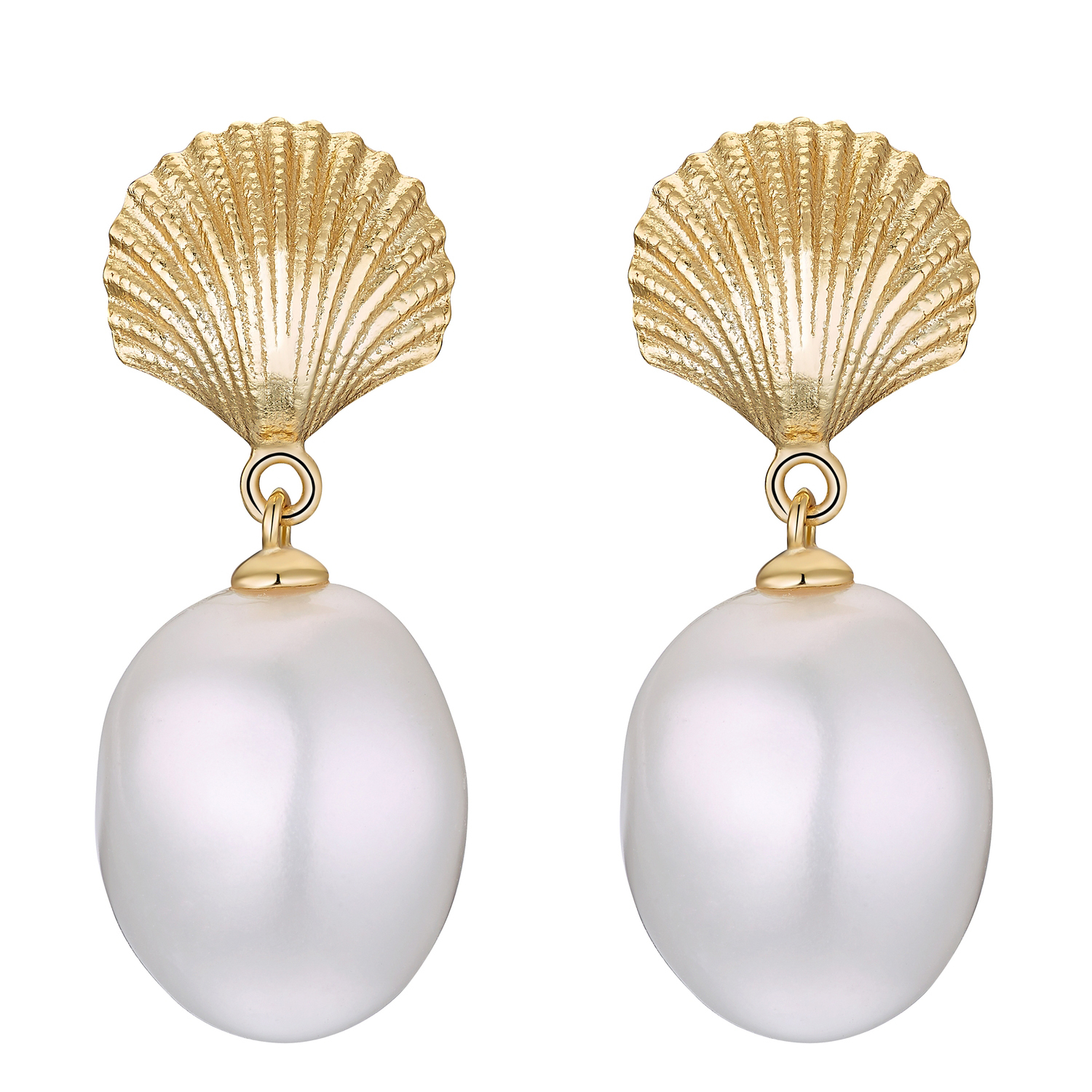 Shell and Pearl Creolen